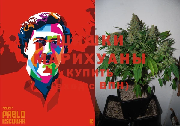 молекула духа Богородицк
