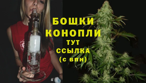 молекула духа Богородицк