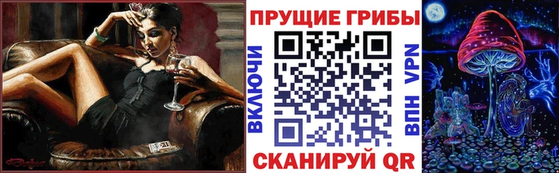 купить наркотики сайты  Мглин  маркетплейс наркотические препараты  Галлюциногенные грибы ЛСД  MEGA маркетплейс 
